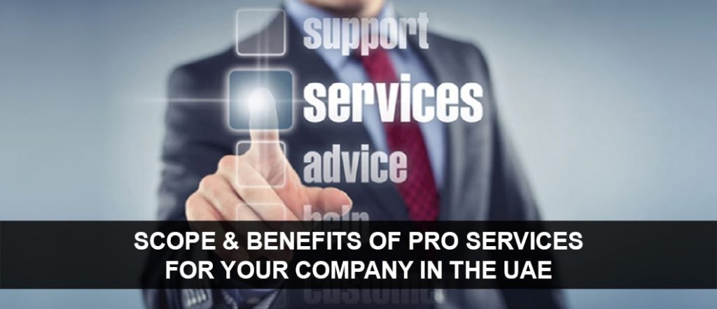 PRO services in Dubai